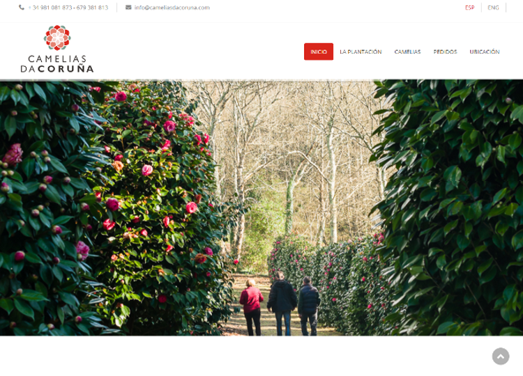 Camelias da Coru�a